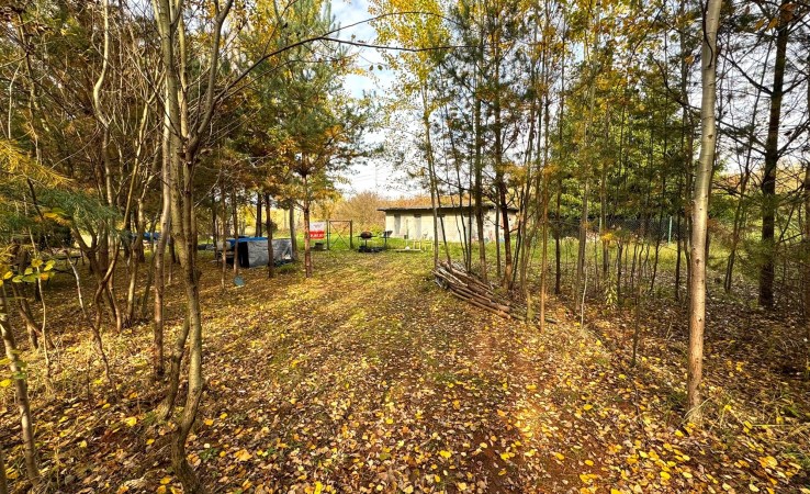 działka na sprzedaż - Rybnik, Zebrzydowice