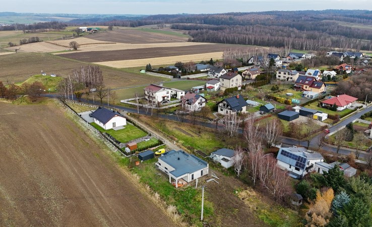 działka na sprzedaż - Lubomia, Syrynia
